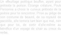 Un effeuillage poétique bouffon, ayant pour prétexte la poésie. Étrange créature, Pouk Personne a choisi le curieux prétexte de la poésie pour te rencontrer. Prise au piège de son costume de beauté, de sa royauté de pacotille, elle tentera tant bien que mal, rien que pour toi, de sortir d’elle-même au bénéfice d’un voyage de chair au creux du verbe.