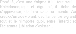 Posé là, c'est une énigme à lui tout seul... Kaléidoscopique et digressif, il tâche de s'apprivoiser, de faire face au monde. Au creux d'un vide vibrant, oscillant entre le grand tout et le n'importe quoi, entre l'interdit et l'éclatante jubilation d'exister...